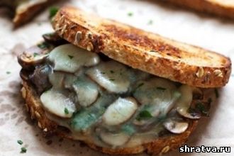 Чесночный бутерброд с грибами и сыром
