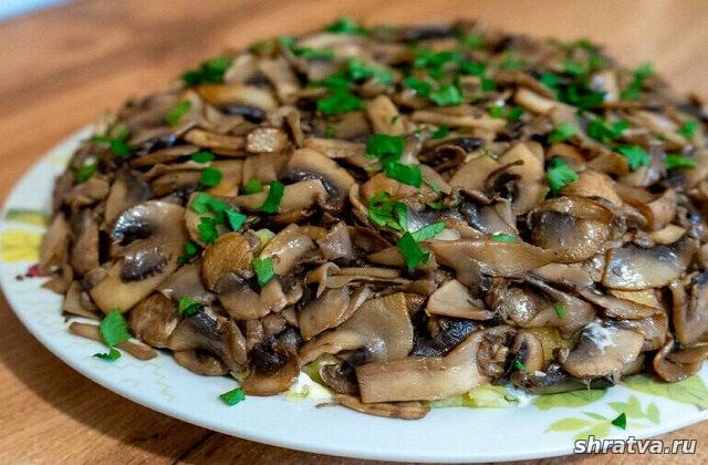 Слоеный салат с мясом и грибами