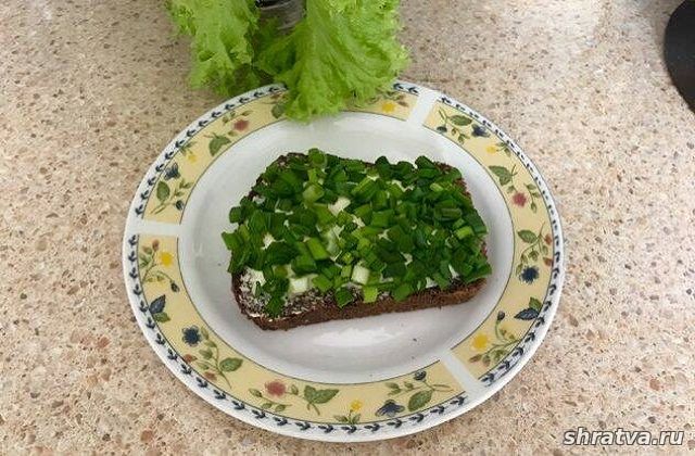 Бутерброд с бородинским хлебом и зеленым луком
